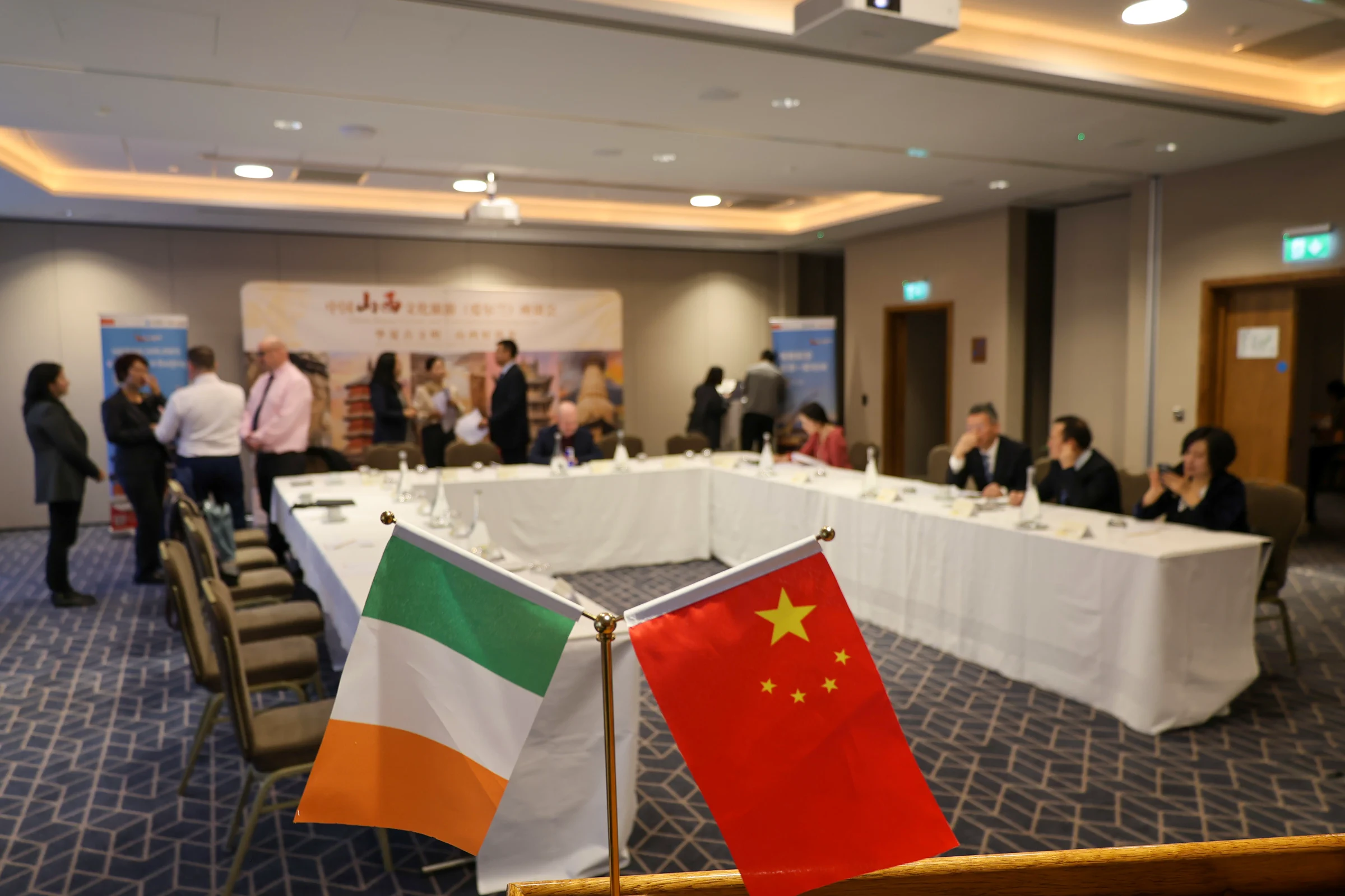 Shanxi Province tourism resource complementarity forum in Dublin — project photograph 3.