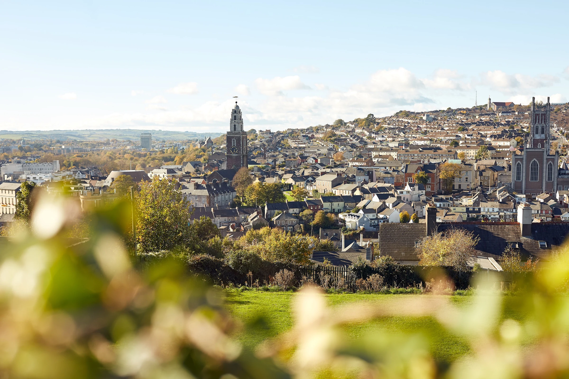 Cork & the South 1