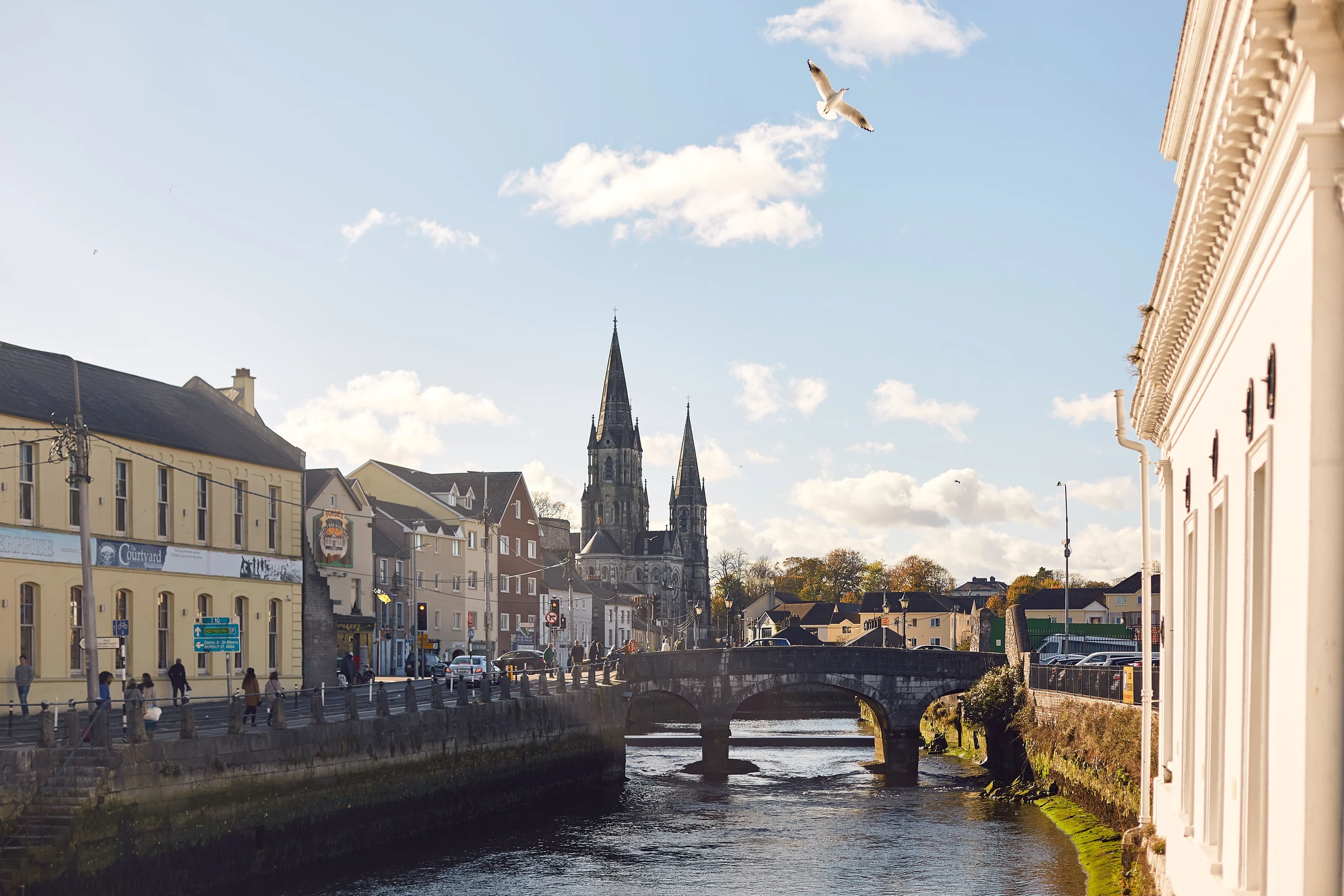 Cork & the South 2